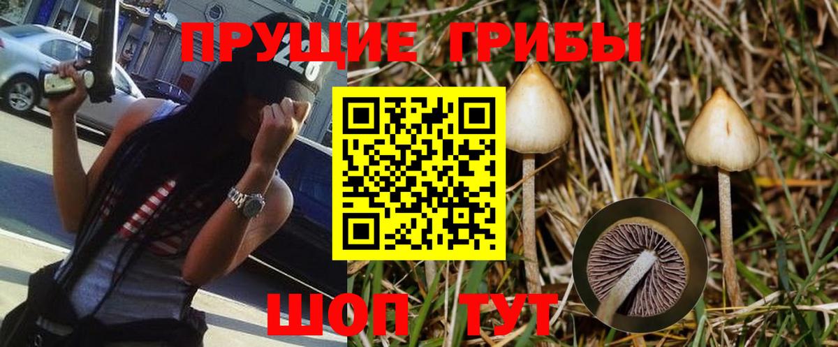 купить наркотик  Псилоцибиновые грибы Psilocybe  Вход с VPN  Псилоцибиновые грибы MAGIC MUSHROOMS  Химки 